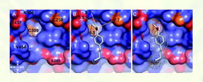 Arnold Group at UWM-Publications: Thyroid Receptor-Structural Insight into the Mode of Action of a Direct Inhibitor of Coregulator Binding to the Thyroid Hormone Receptor